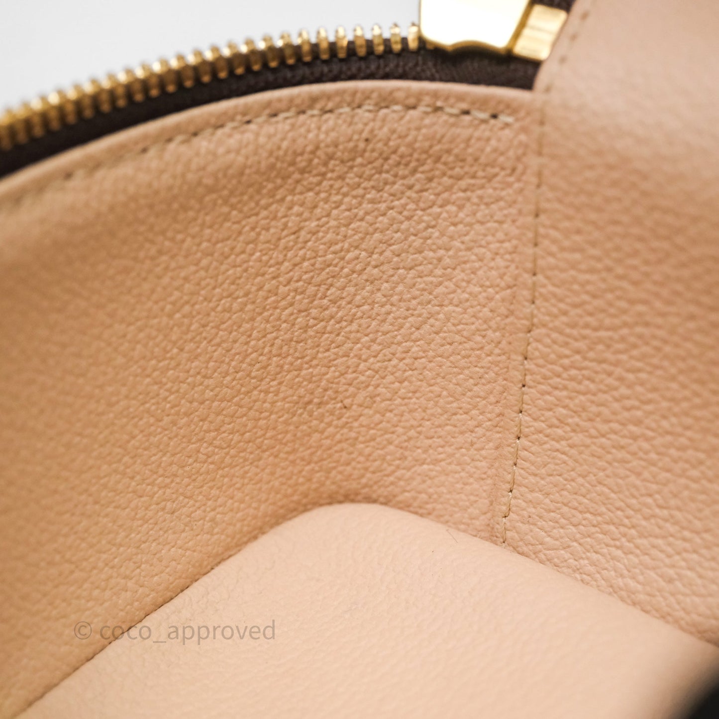 Louis Vuitton Nice Nano Monogram Canvas