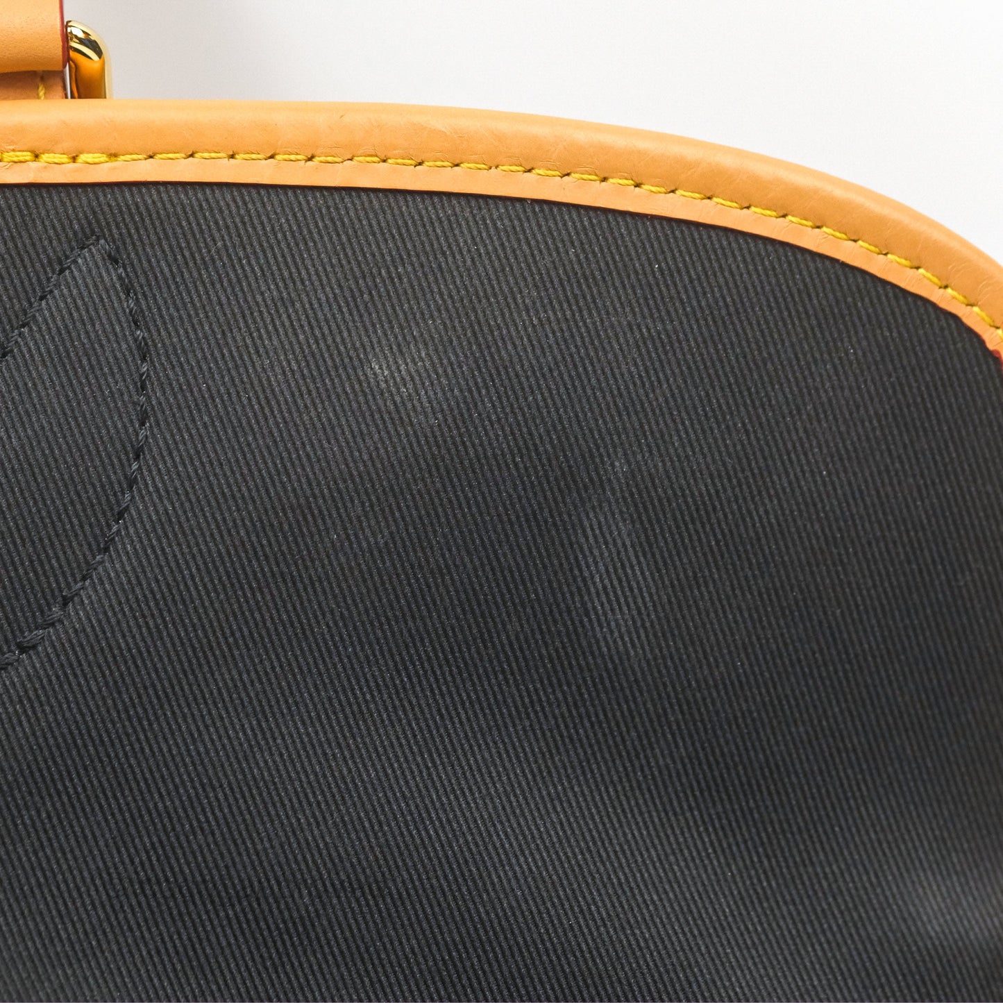 Louis Vuitton Diane Bag Monogram Canvas with Jacquard Strap