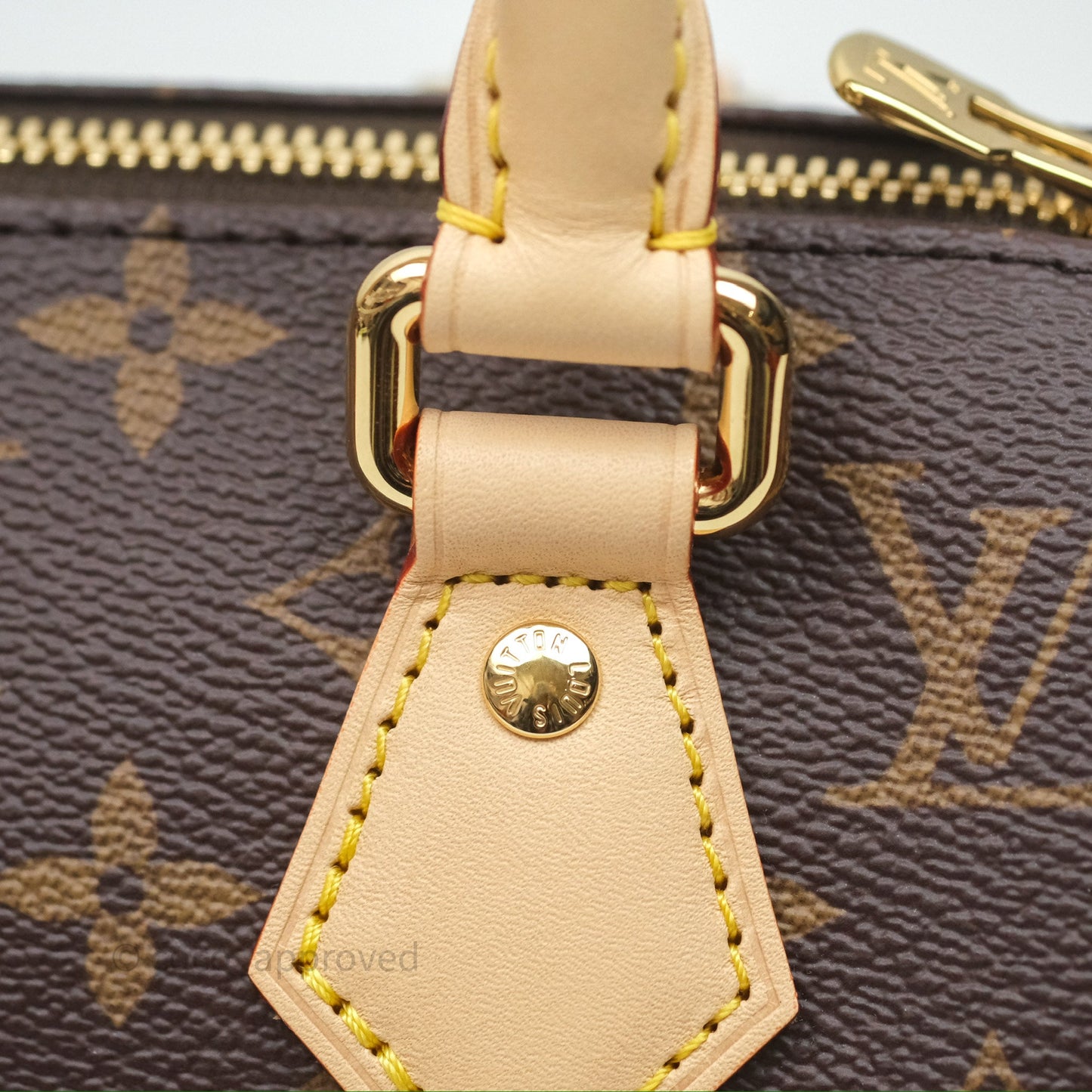 Louis Vuitton LV x Murakami Speedy Bandoulière 20 Monogram