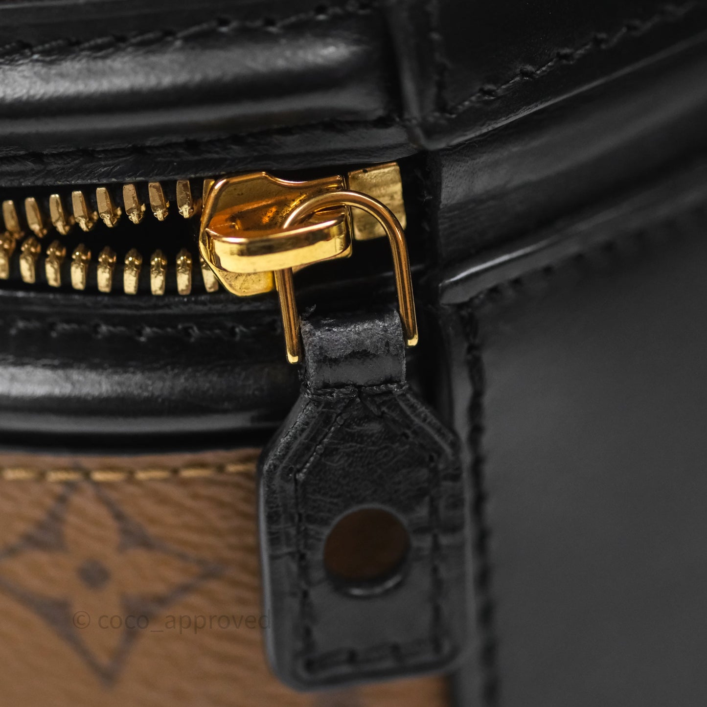 Louis Vuitton Monogram Canvas Reverse Cannes Bag