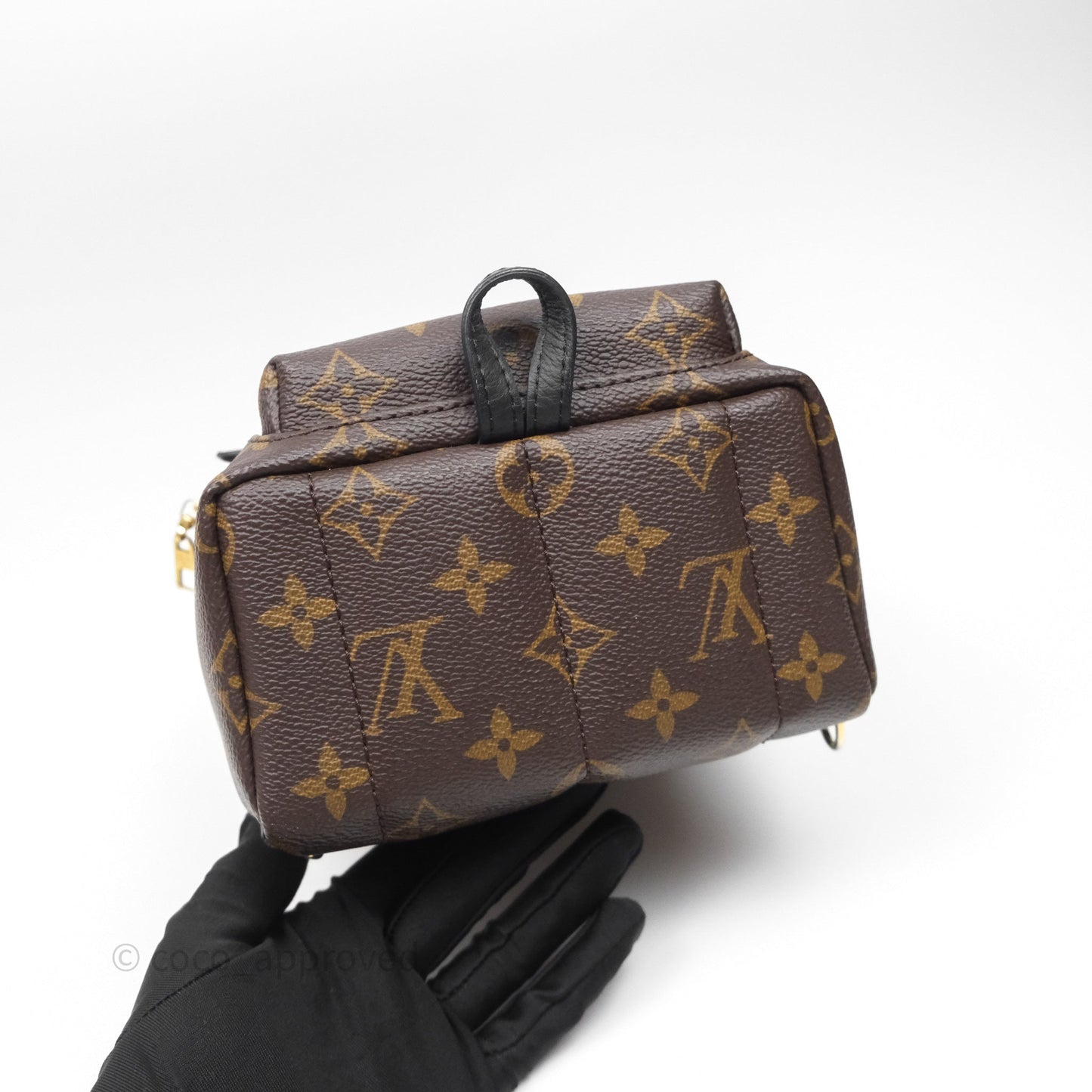 Louis Vuitton Mini Palm Springs Backpack⁣ Monogram