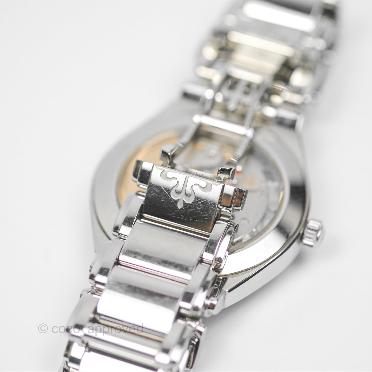 Patek Philippe TWENTY~4 7300/1200A-010 Watch Gris