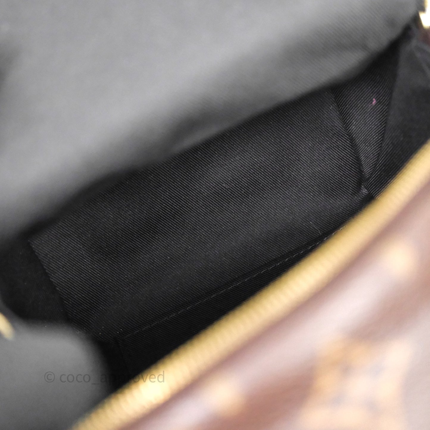 Louis Vuitton Mini Palm Springs Backpack⁣ Monogram