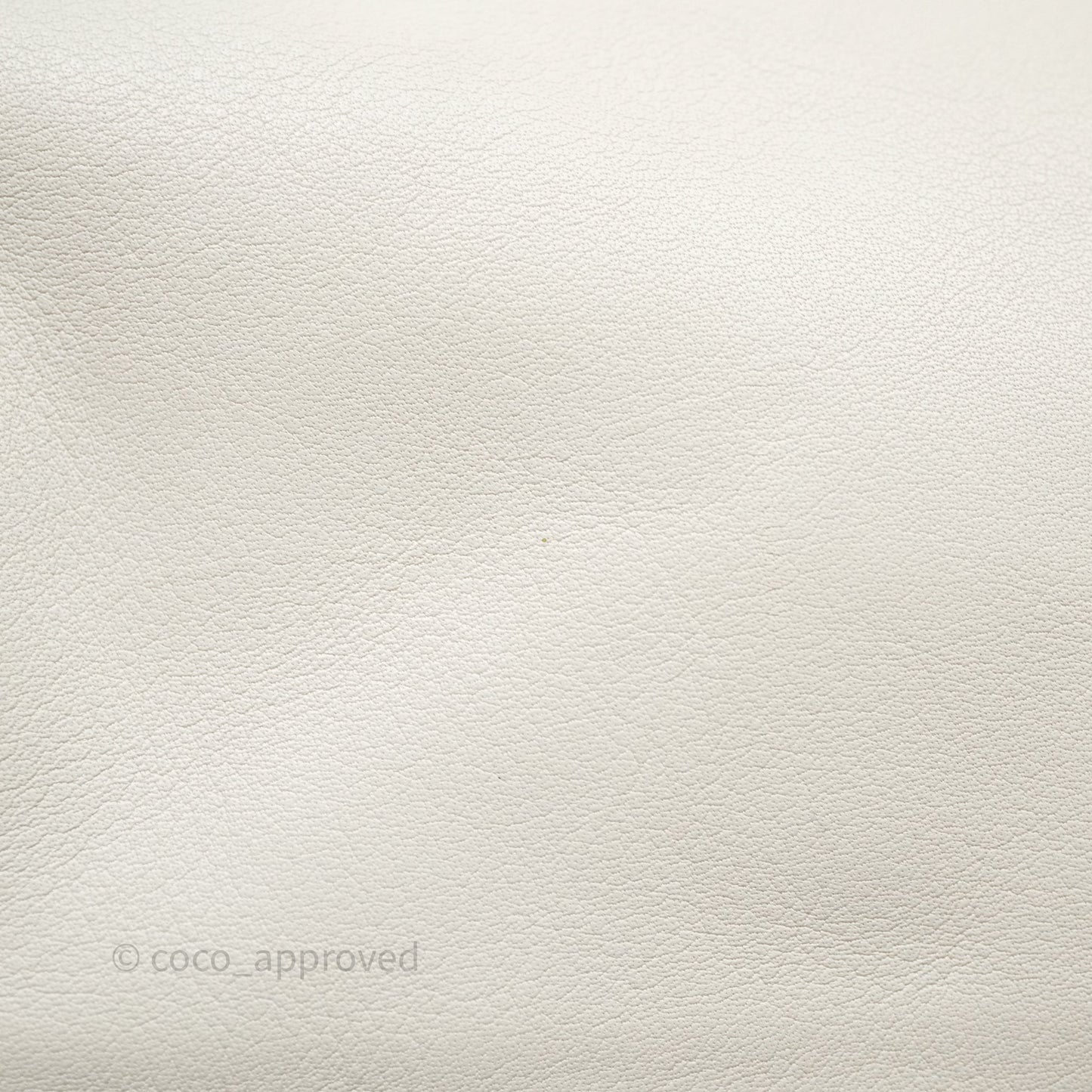 Bottega Veneta Chain Pouch Plaster Calfskin
