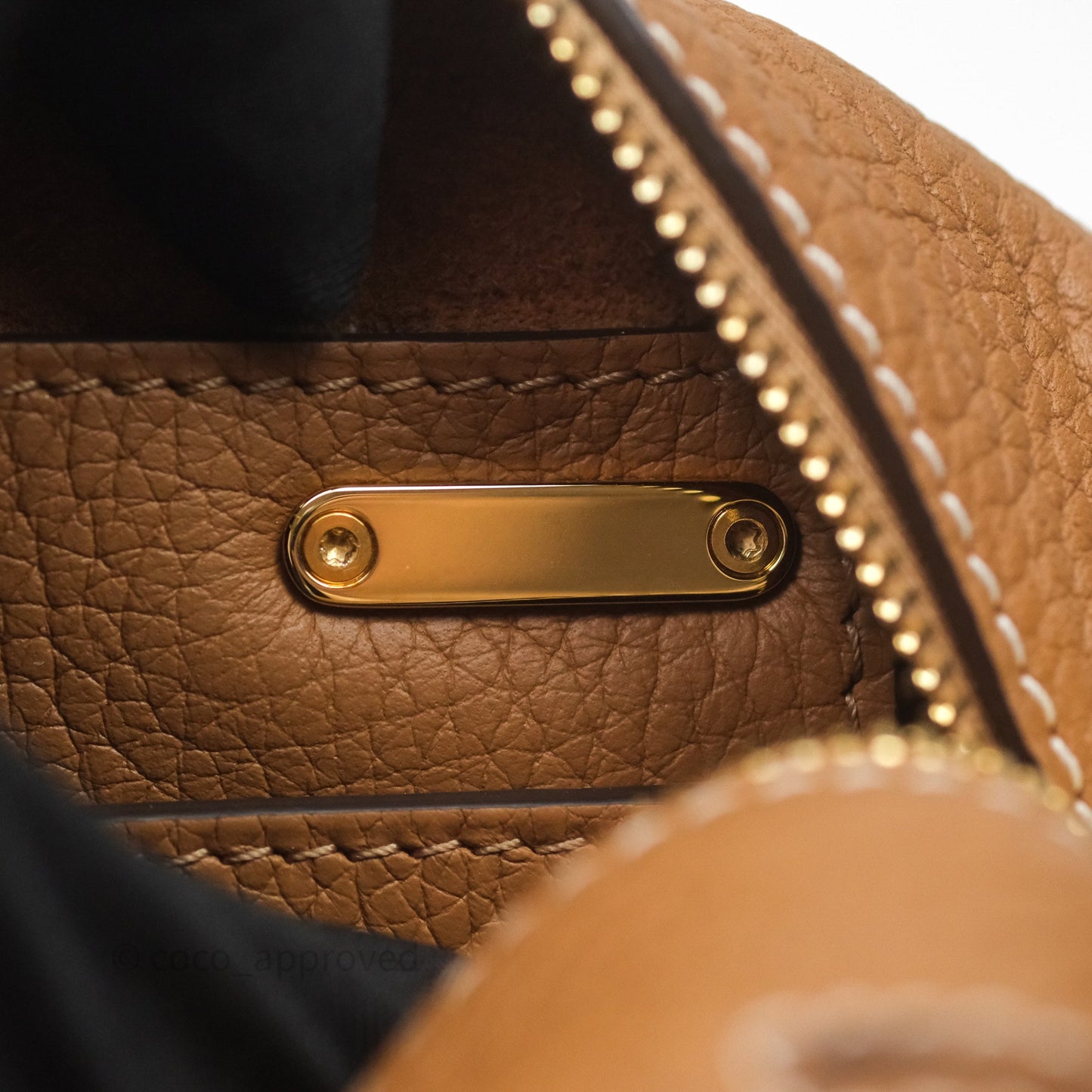 Delvaux Cool Box Nano Taurillon Soft Grained Calfskin Vegetal Ivory Gold Hardware
