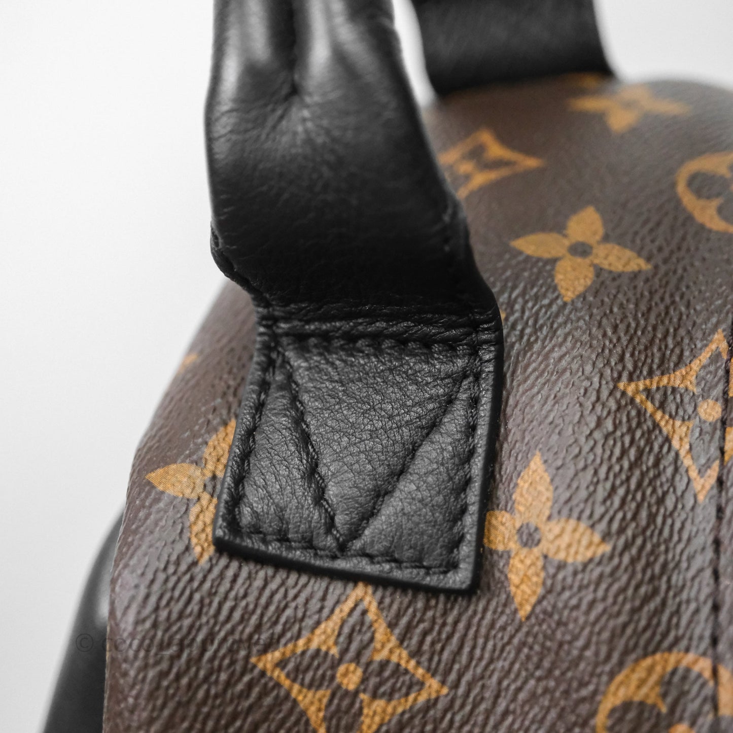 Louis Vuitton Palm Springs Backpack⁣ Monogram PM