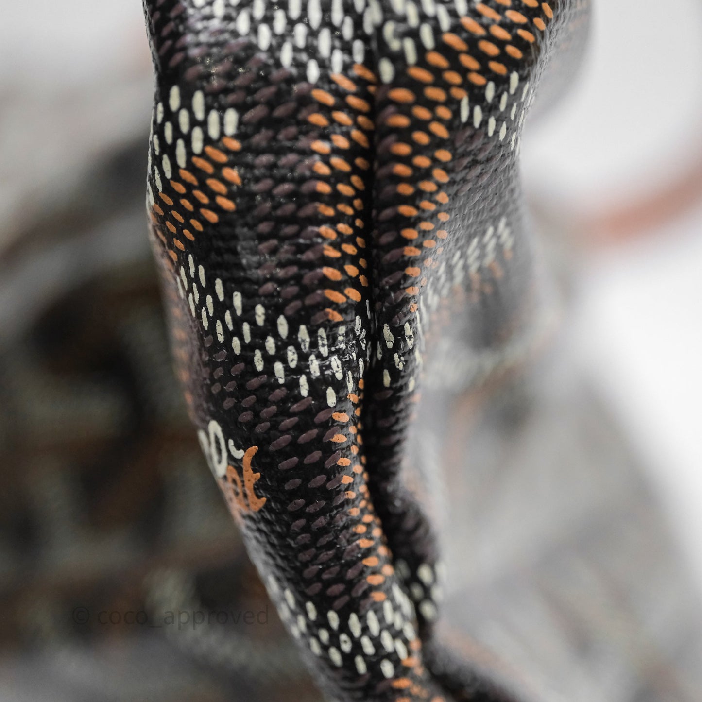 Goyard Bohème Hobo Bag Black & Tan