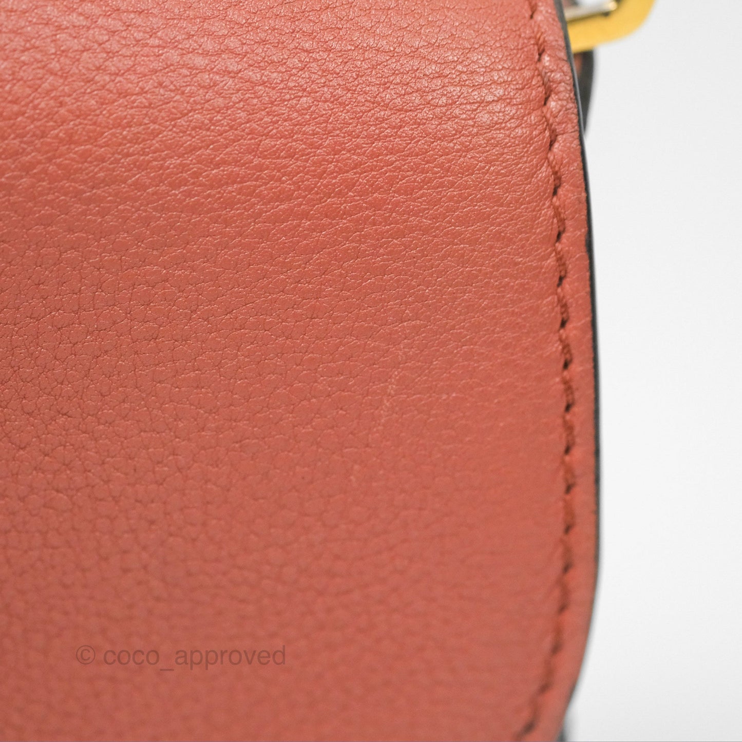 Louis Vuitton Vivienne Bag Brick Red Black