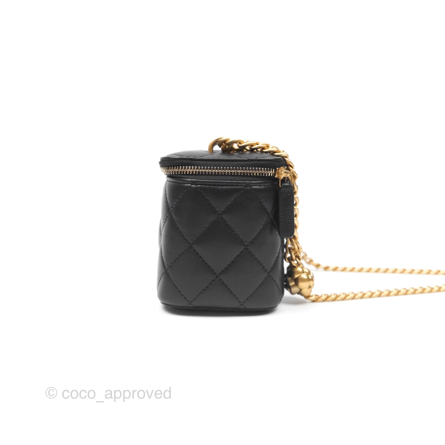 Chanel Quilted Vanity Rectangular with Camellia Adjustable Chain Black Lambskin 23S