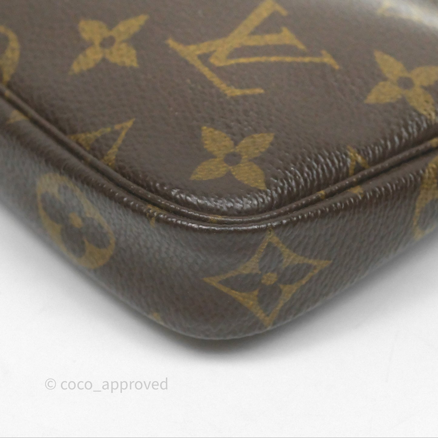Louis Vuitton Monogram Mini Pochette Accessories