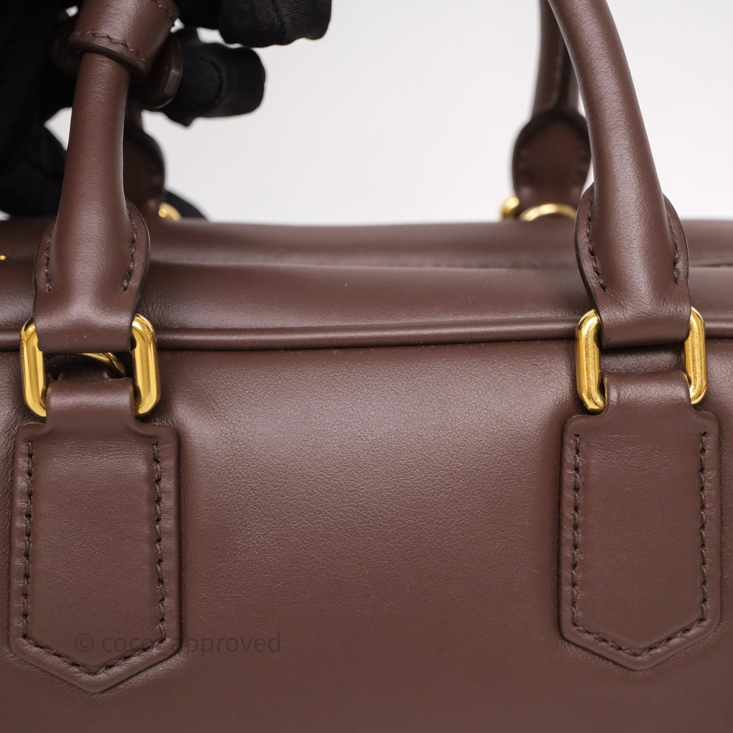 Miu Miu Arcadie Leather Bag Briarwood