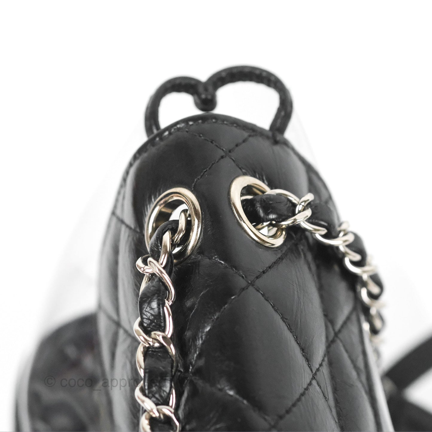 Chanel Aquarium PVC Backpack Black Crumpled Calfskin Silver Hardware