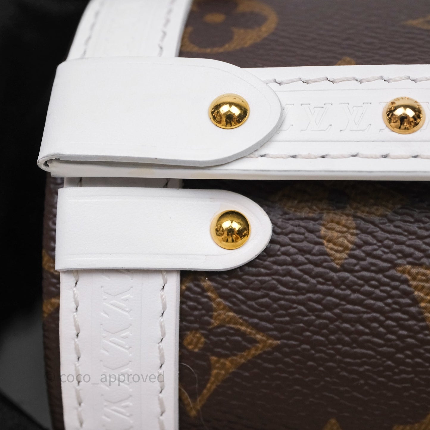 Louis Vuitton Monogram Papillon Trunk Bag