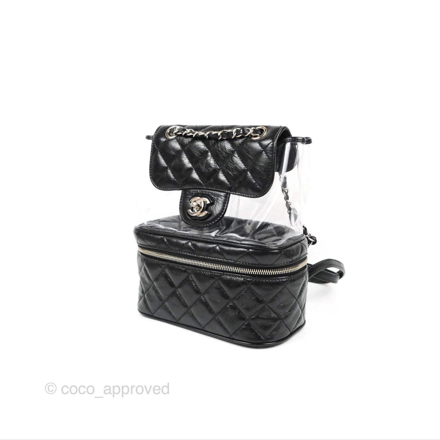 Chanel Aquarium PVC Backpack Black Crumpled Calfskin Silver Hardware