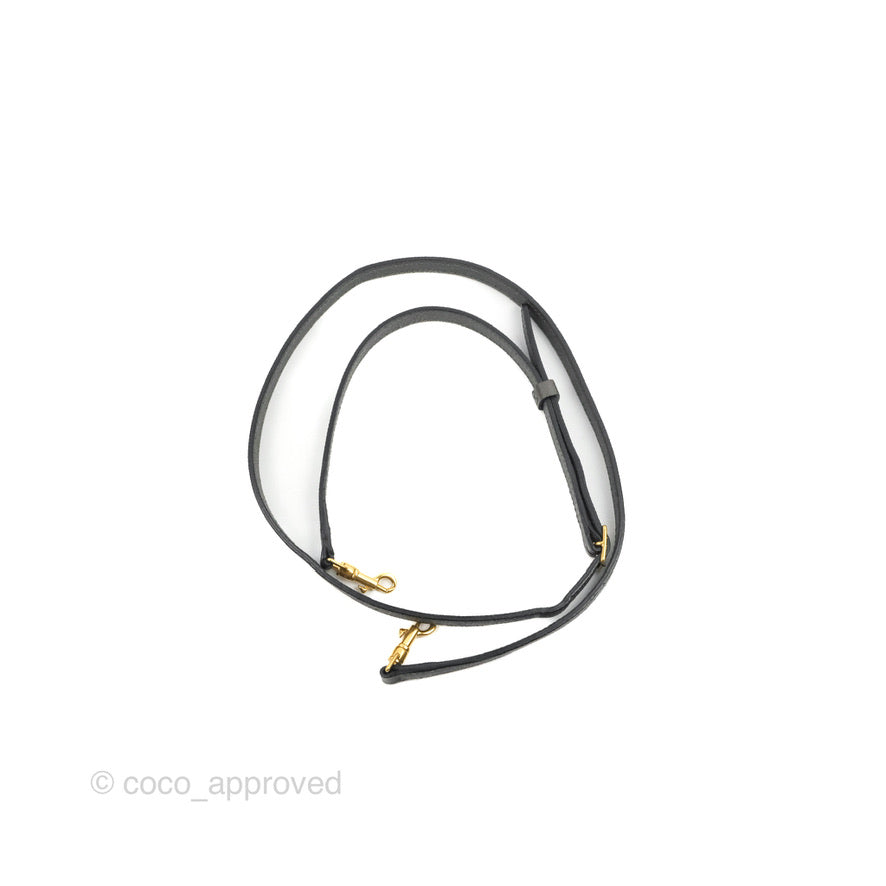 Celine Nano Belt Bag Grey Grained Calfskin Gold Hardware