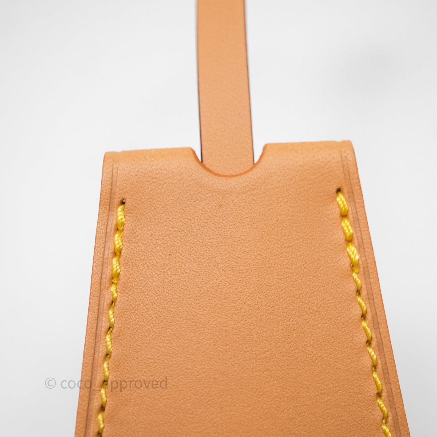 Louis Vuitton Speedy P9 Bandouliere 30 Vert Clair Bag