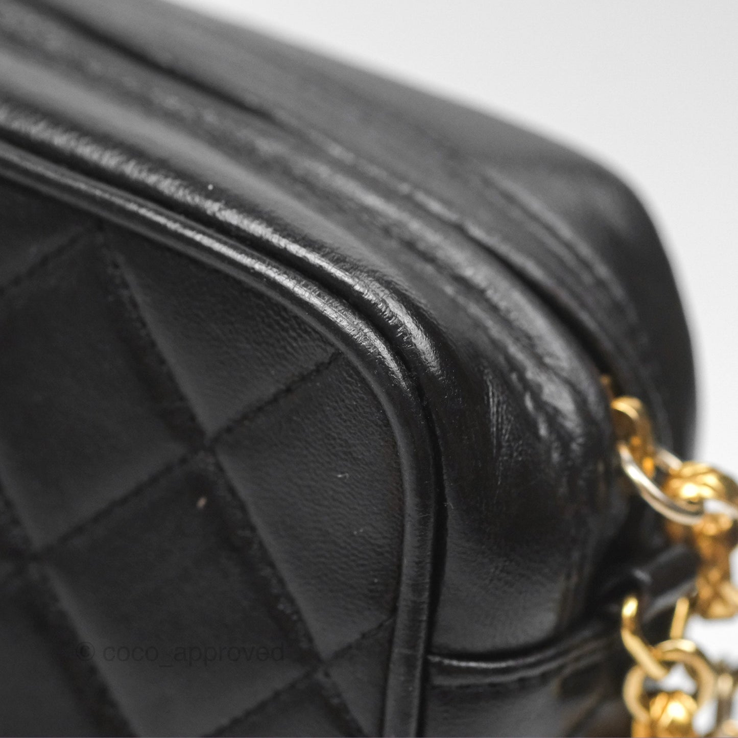 Chanel Vintage Diana Fringe Camera Bag Black Lambskin 24K Gold Hardware