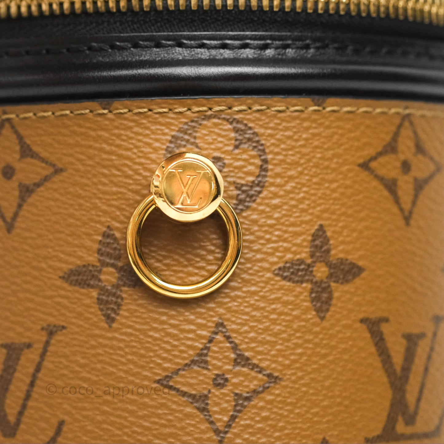 Louis Vuitton Monogram Canvas Reverse Cannes Bag