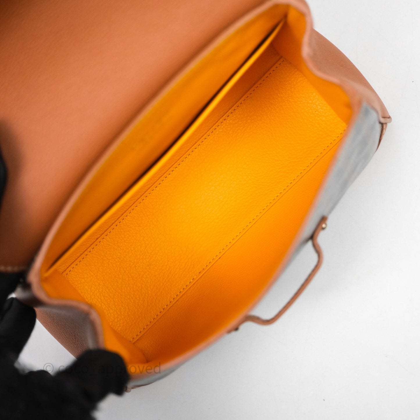 Goyard Saïgon Mini Bag Tan Goyardine Canvas/Chevroches Calfskin