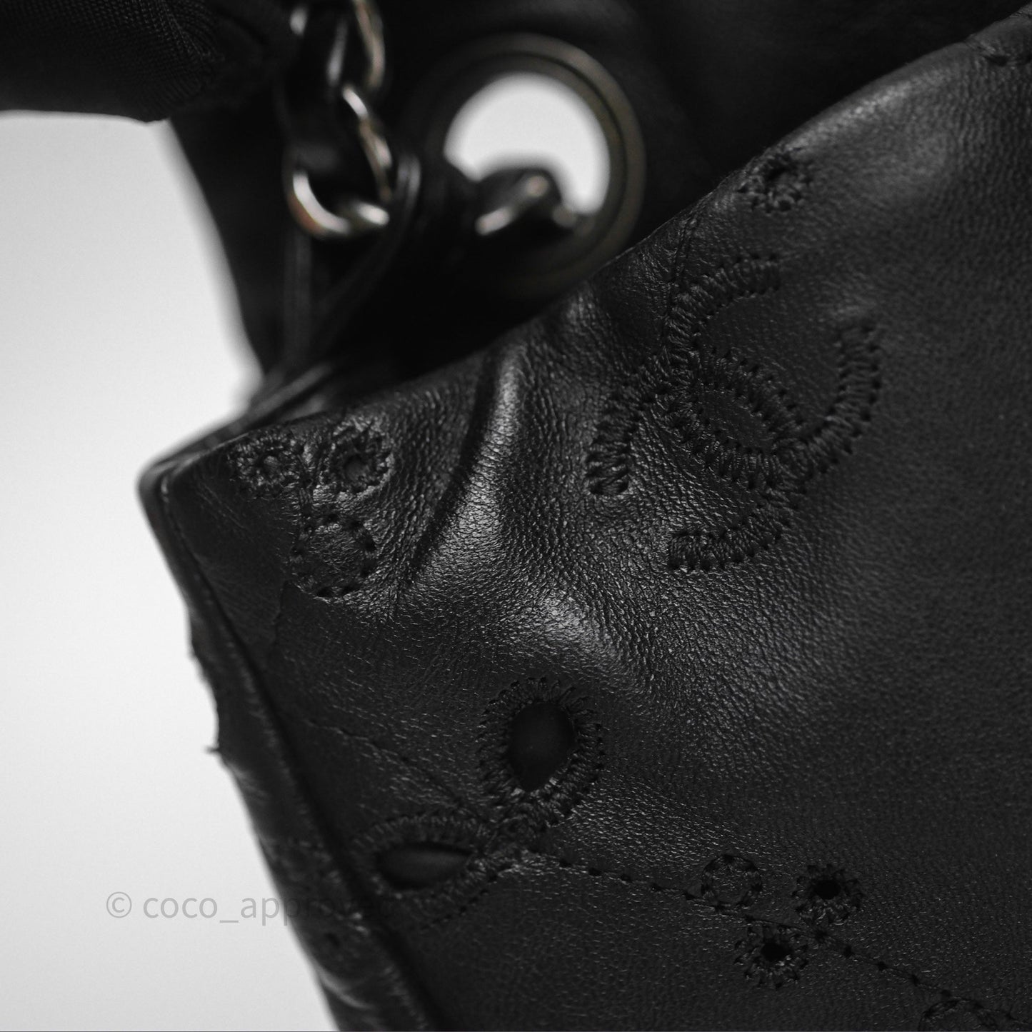 Chanel Embroidered Butterfly Flap Black Lambskin Ruthenium Hardware