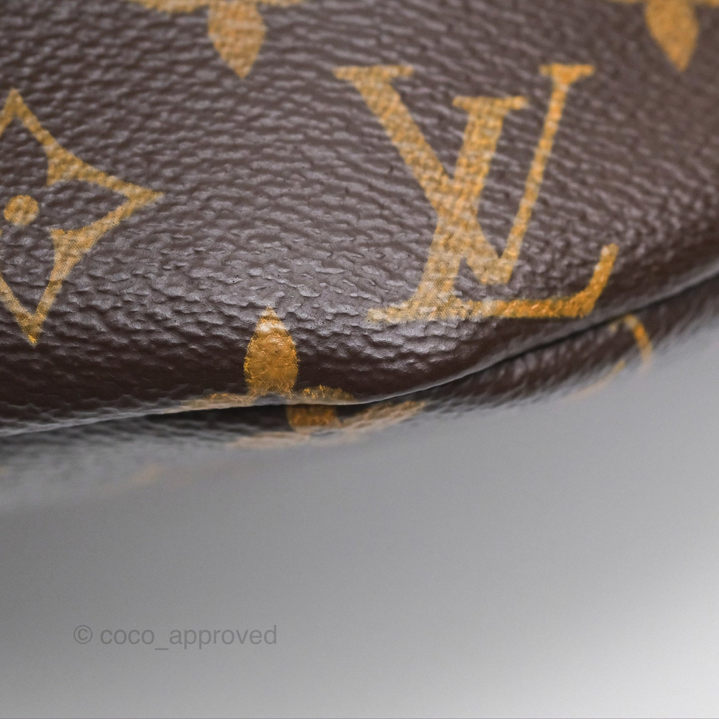 Louis Vuitton Bum Bag Monogram Canvas