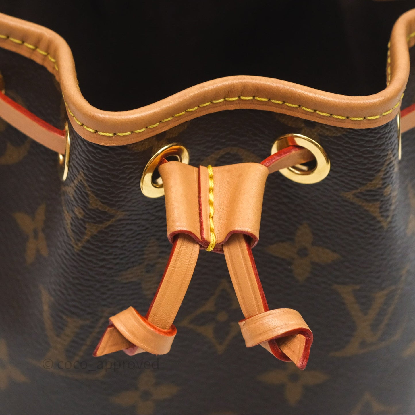 Louis Vuitton Nano Noe Monogram
