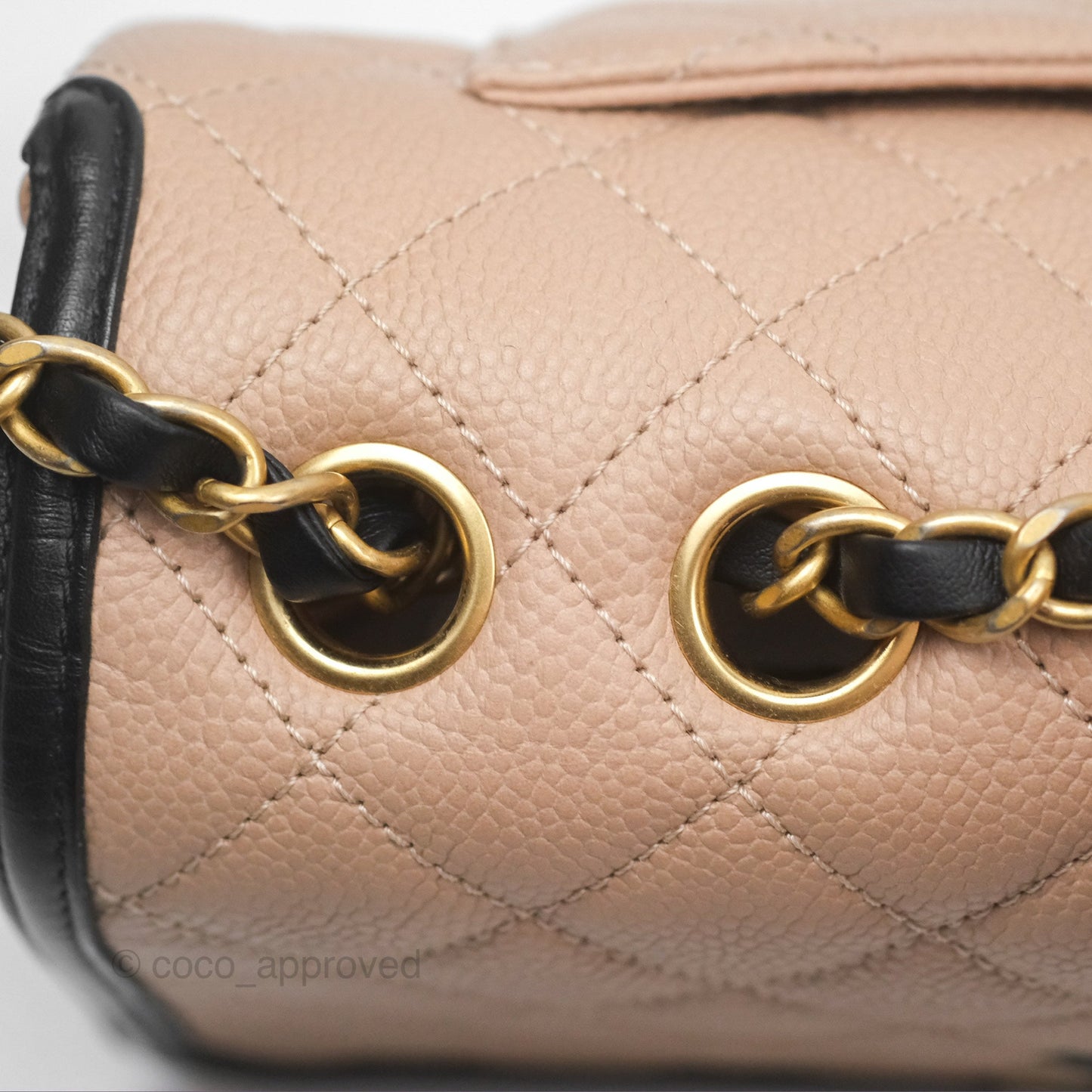 Chanel Quilted Medium CC Filigree Flap Beige Black Caviar
