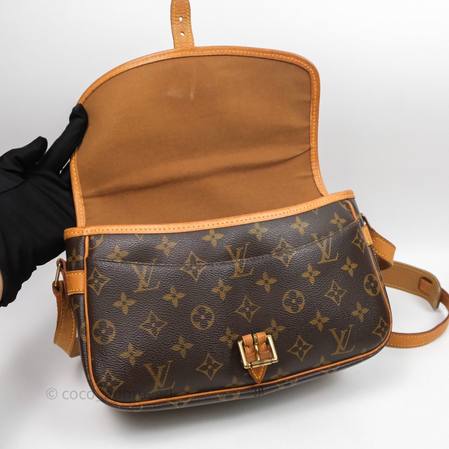 Louis Vuitton Vintage Diane Bag Monogram Canvas