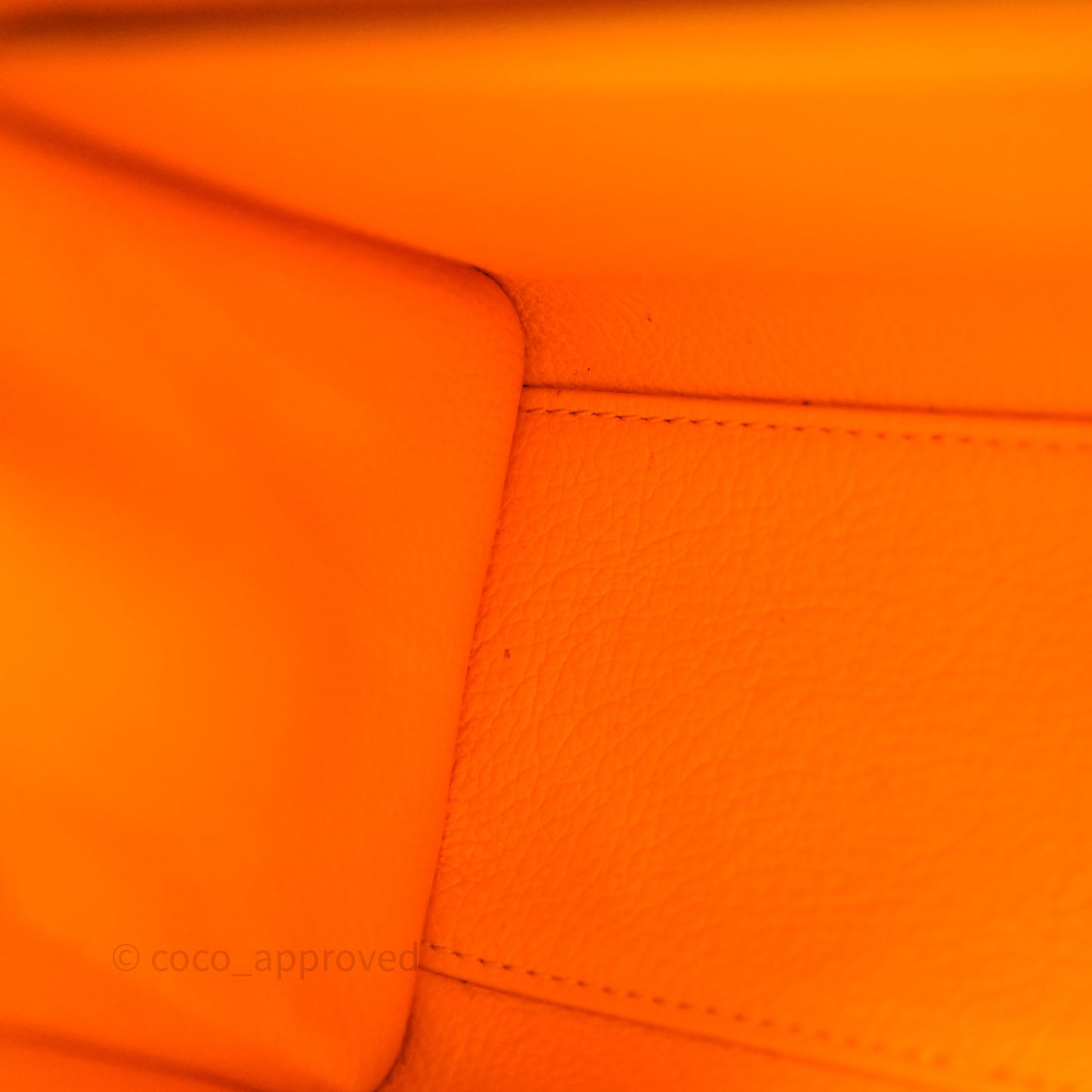 Goyard Saïgon Mini Bag Tan Goyardine Canvas/Chevroches Calfskin