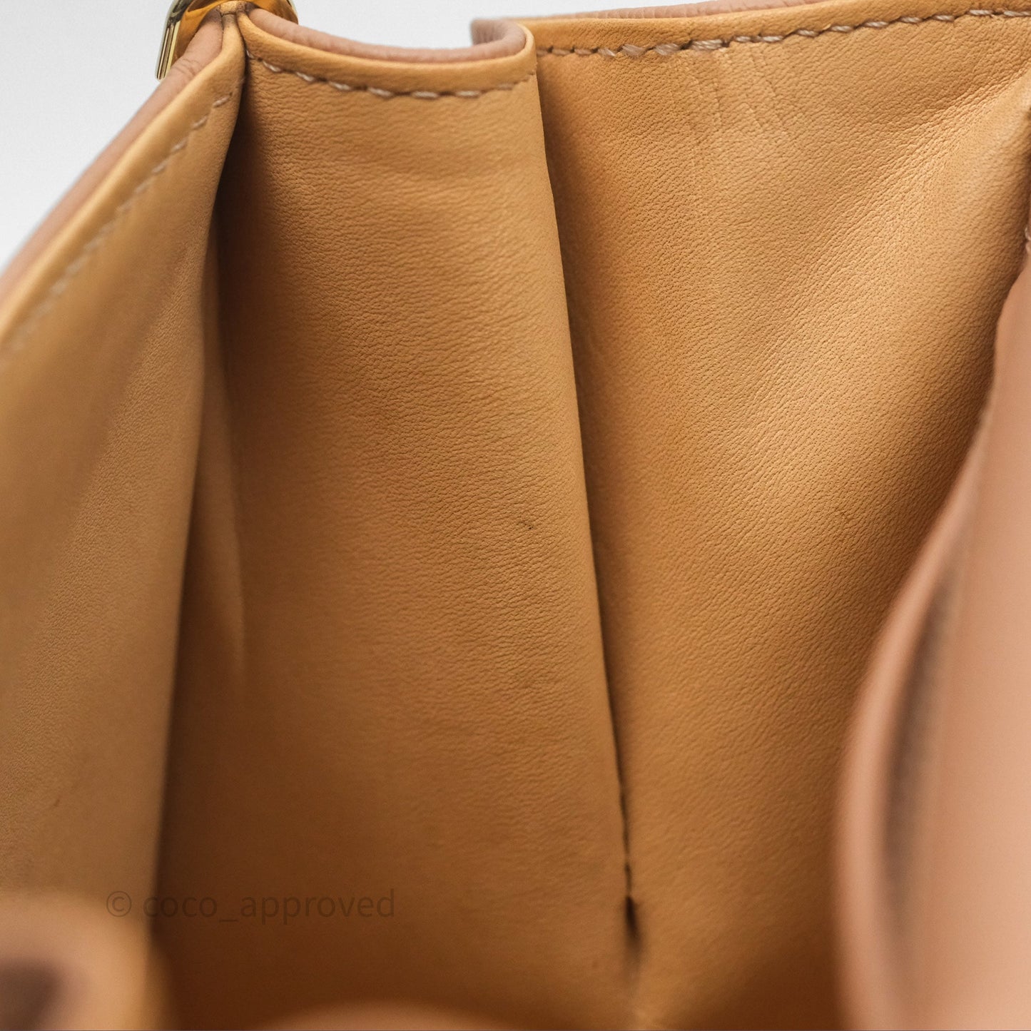 Delvaux Mini Brillant Bag Vison Grained Calfskin Gold Hardware with Twilly