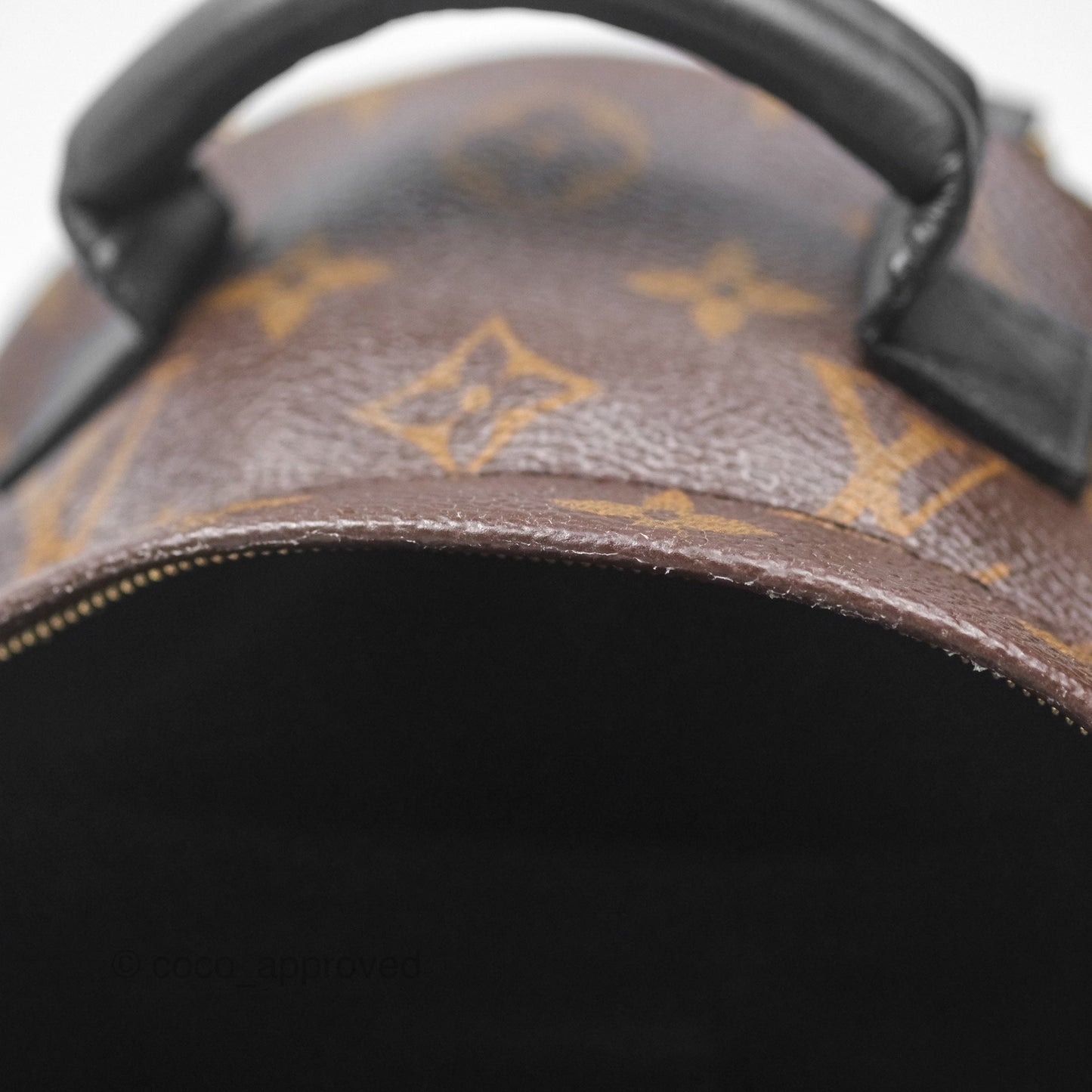 Louis Vuitton Monogram Mini Palm Springs Backpack⁣