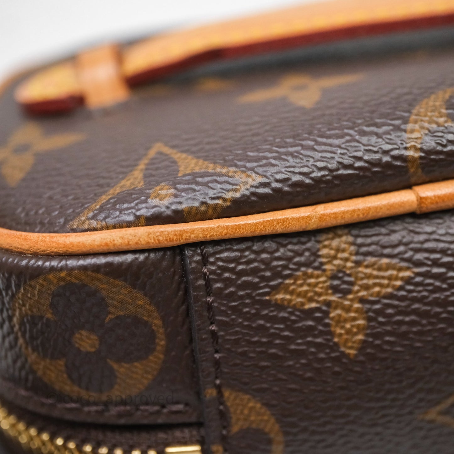 Louis Vuitton Nice Nano Monogram Canvas