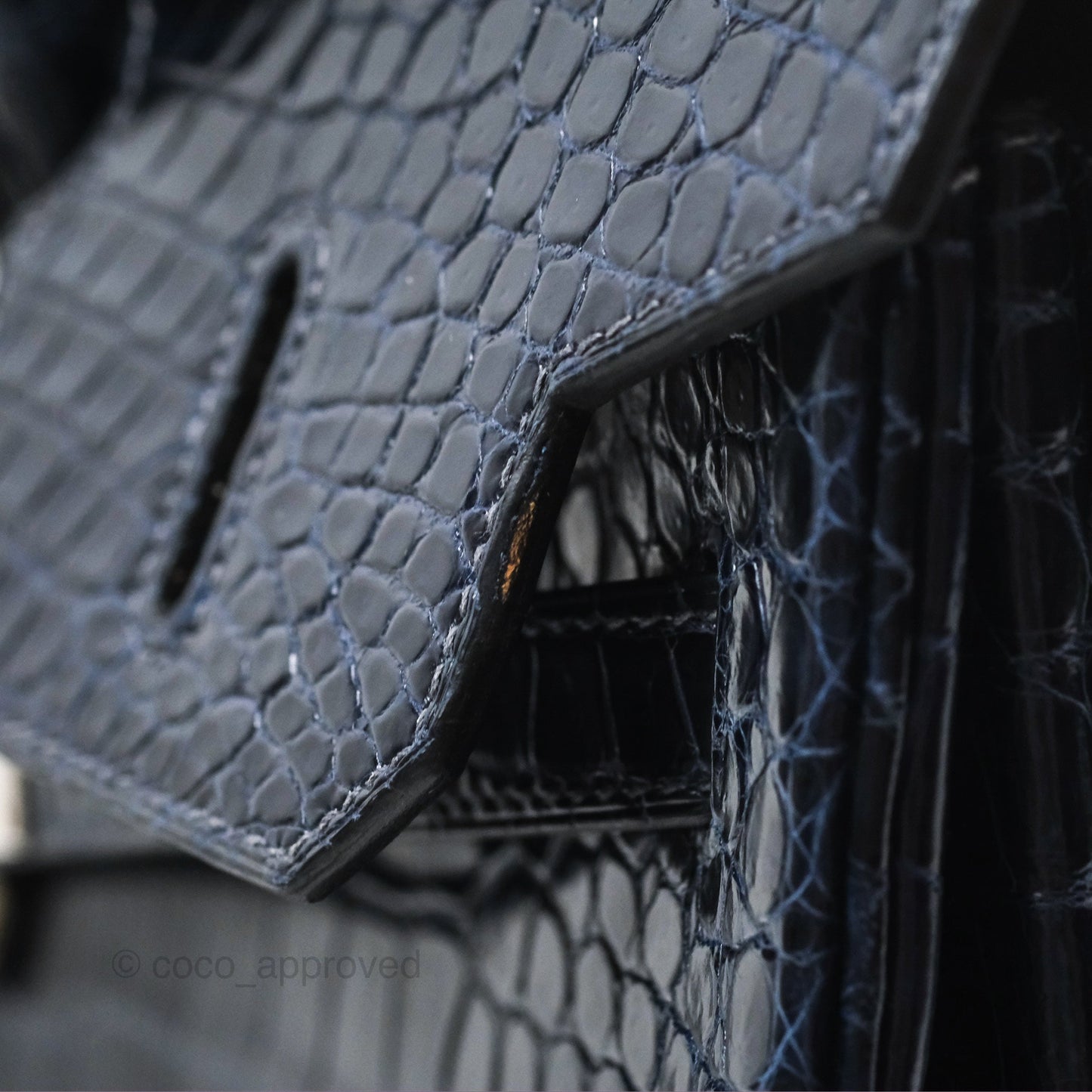 Hermès Birkin 35 Porosus Marine 78 Palladium Hardware