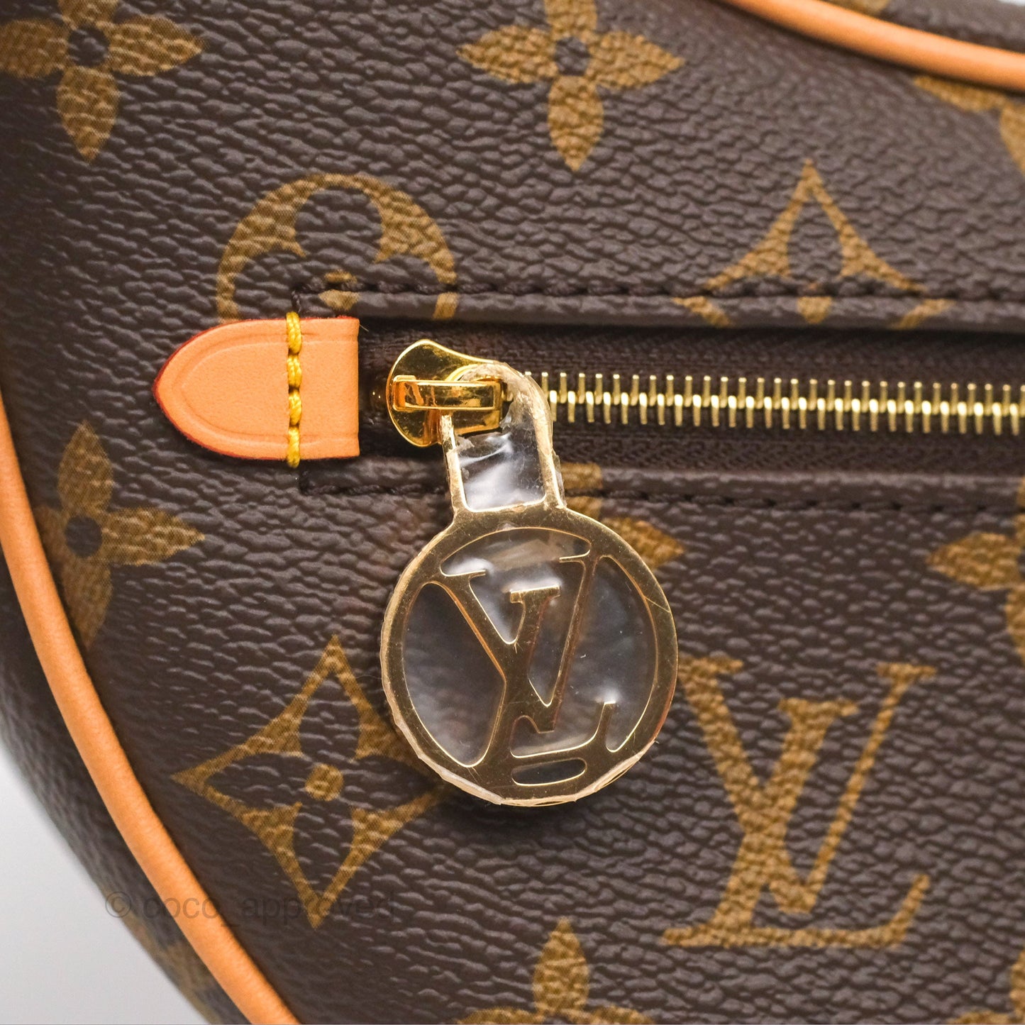 Louis Vuitton Loop Monogram Canvas