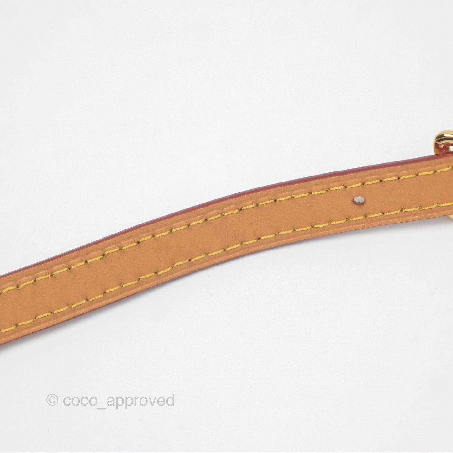 Louis Vuitton Nano Speedy Monogram