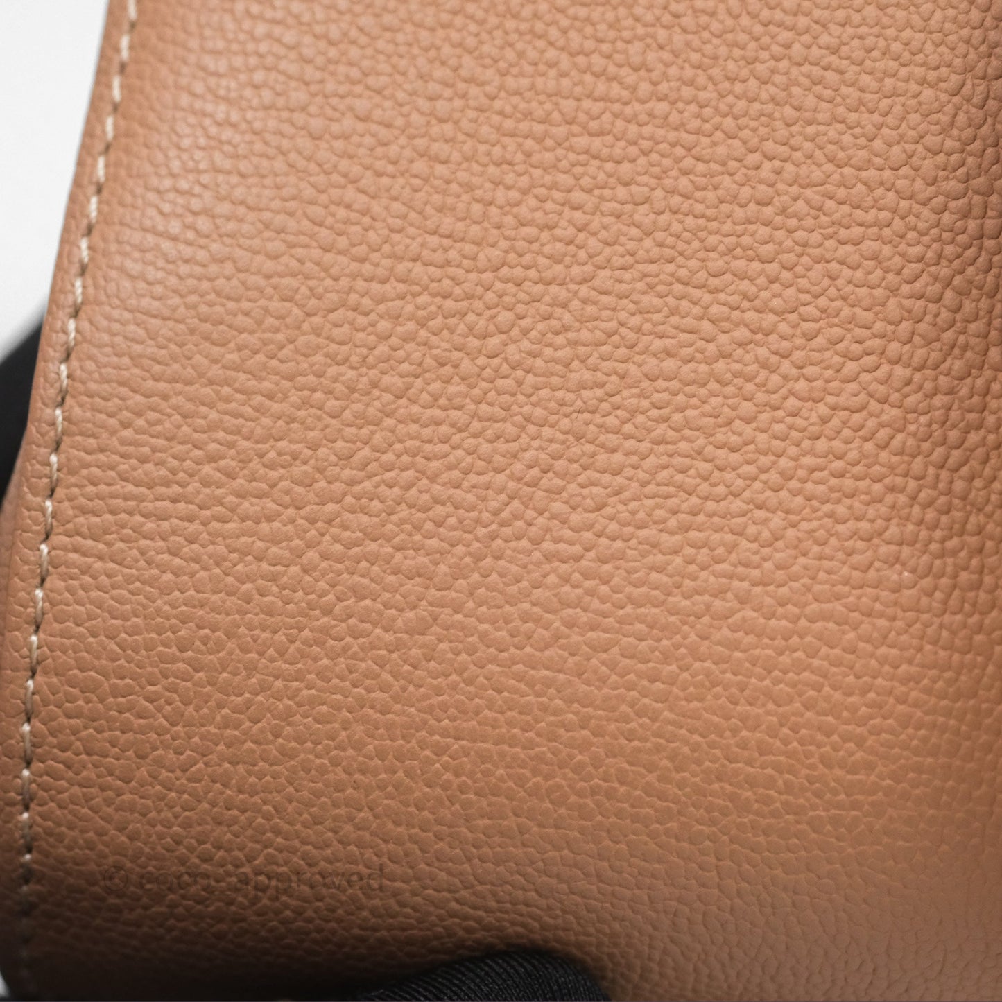 Delvaux Mini Brillant Bag Vison Grained Calfskin Gold Hardware with Twilly