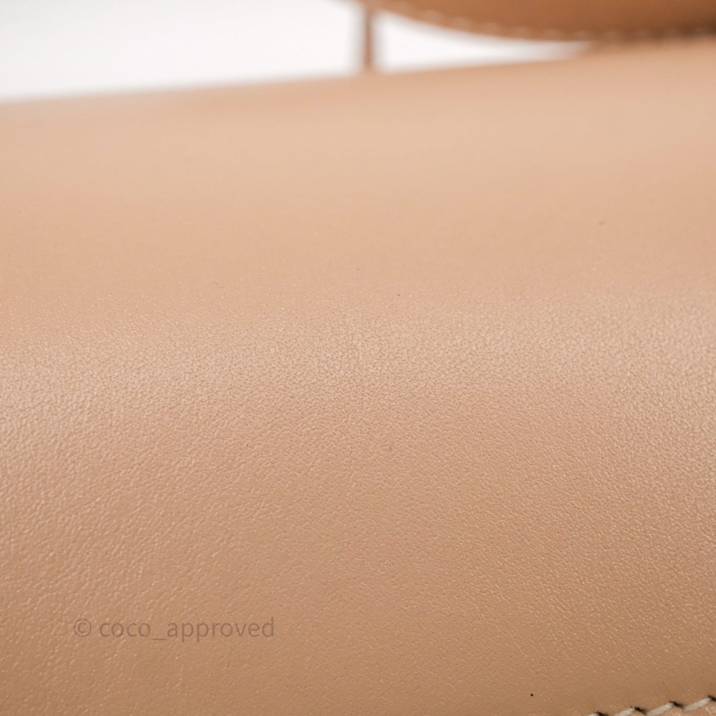 Loro Piana Extra Bag L27 Dark Pink Gold Hardware