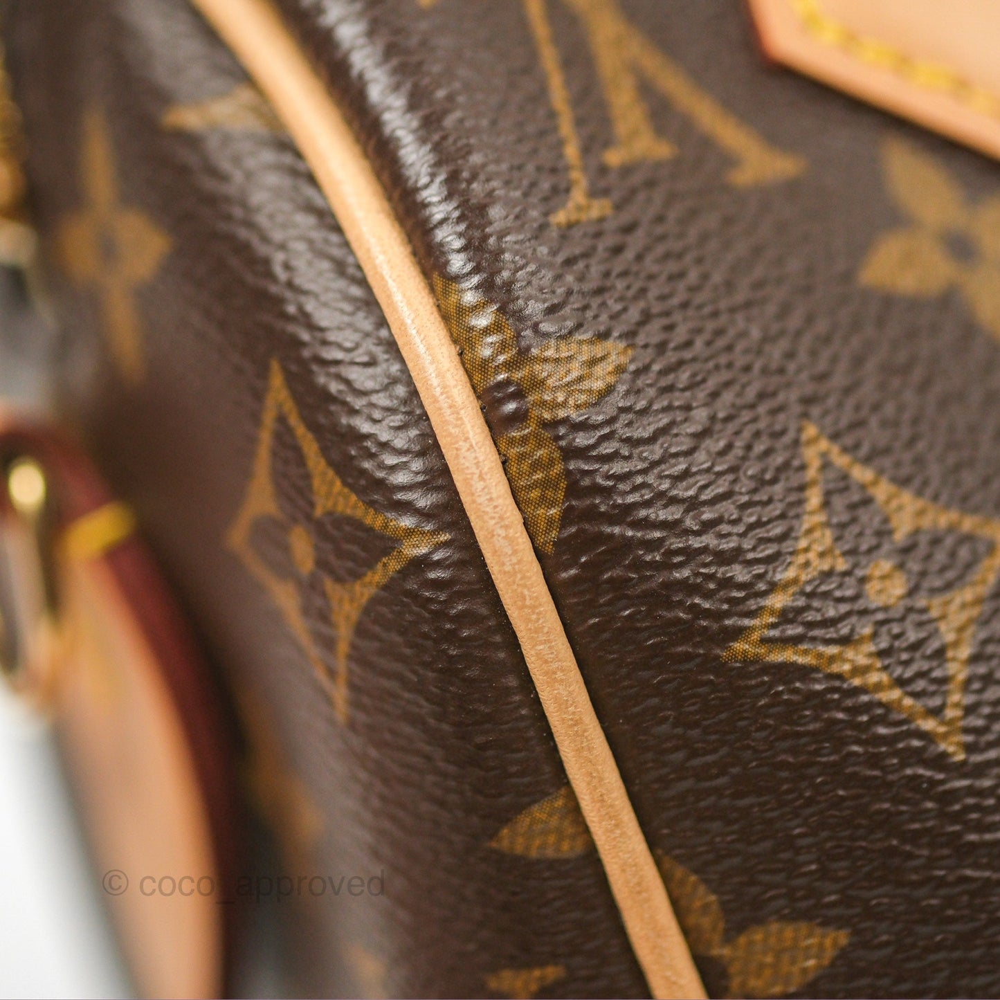 Louis Vuitton Speedy Bandoulière 20 Monogram