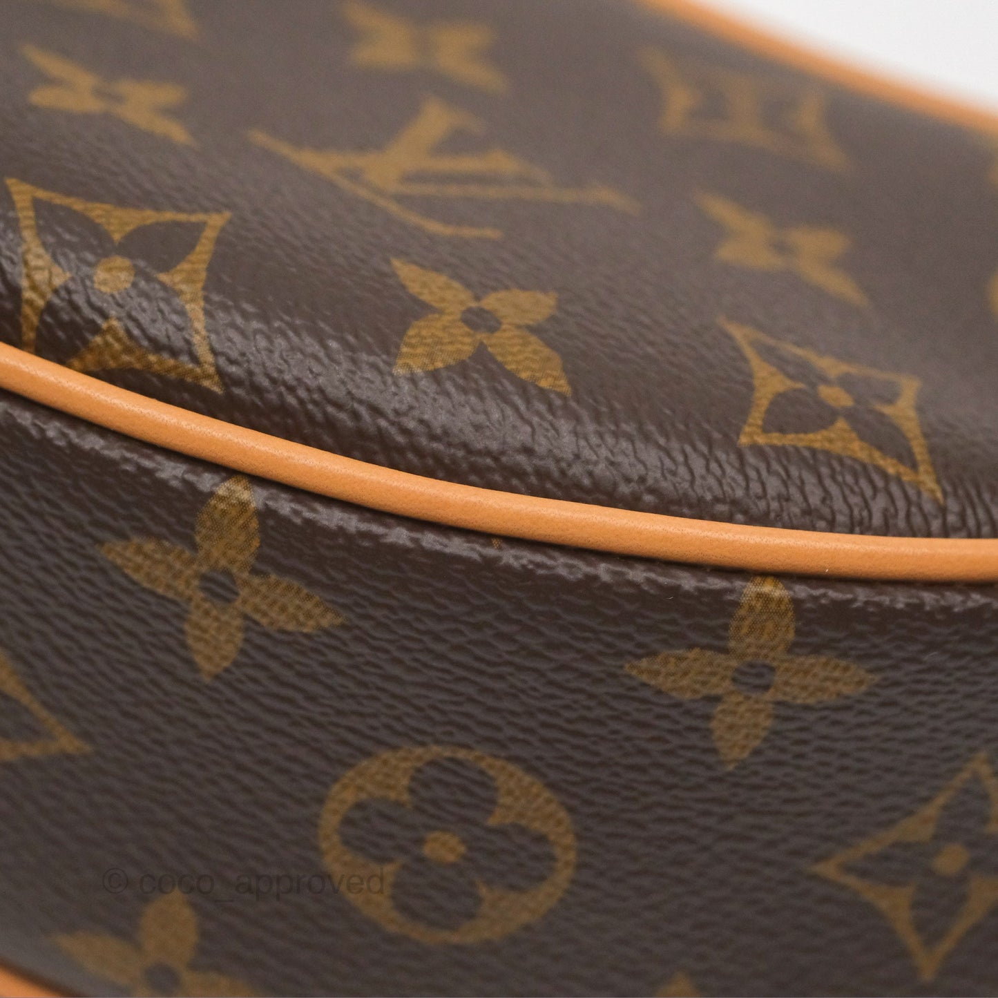 Louis Vuitton Loop Monogram Canvas