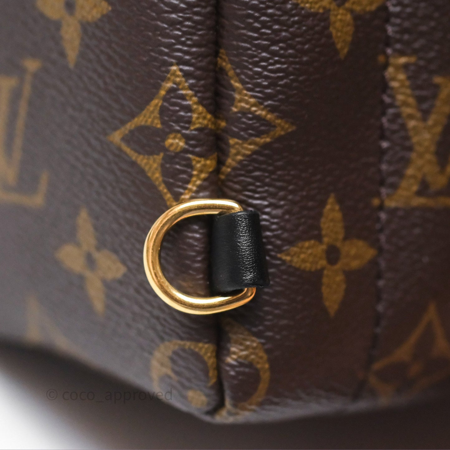 Louis Vuitton Mini Palm Springs Backpack⁣ Monogram