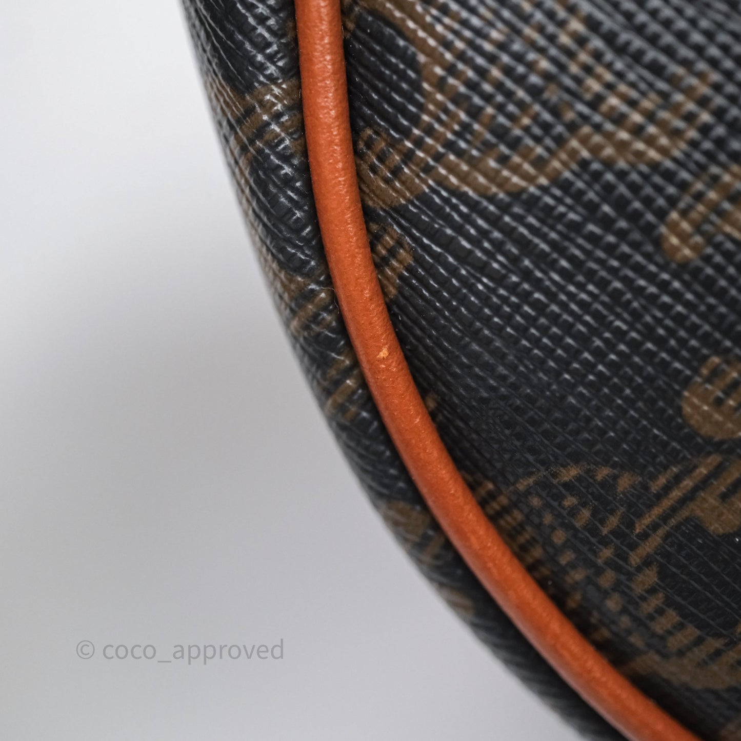 Celine Ava Bag In Triomphe Canvas Calfskin Tan