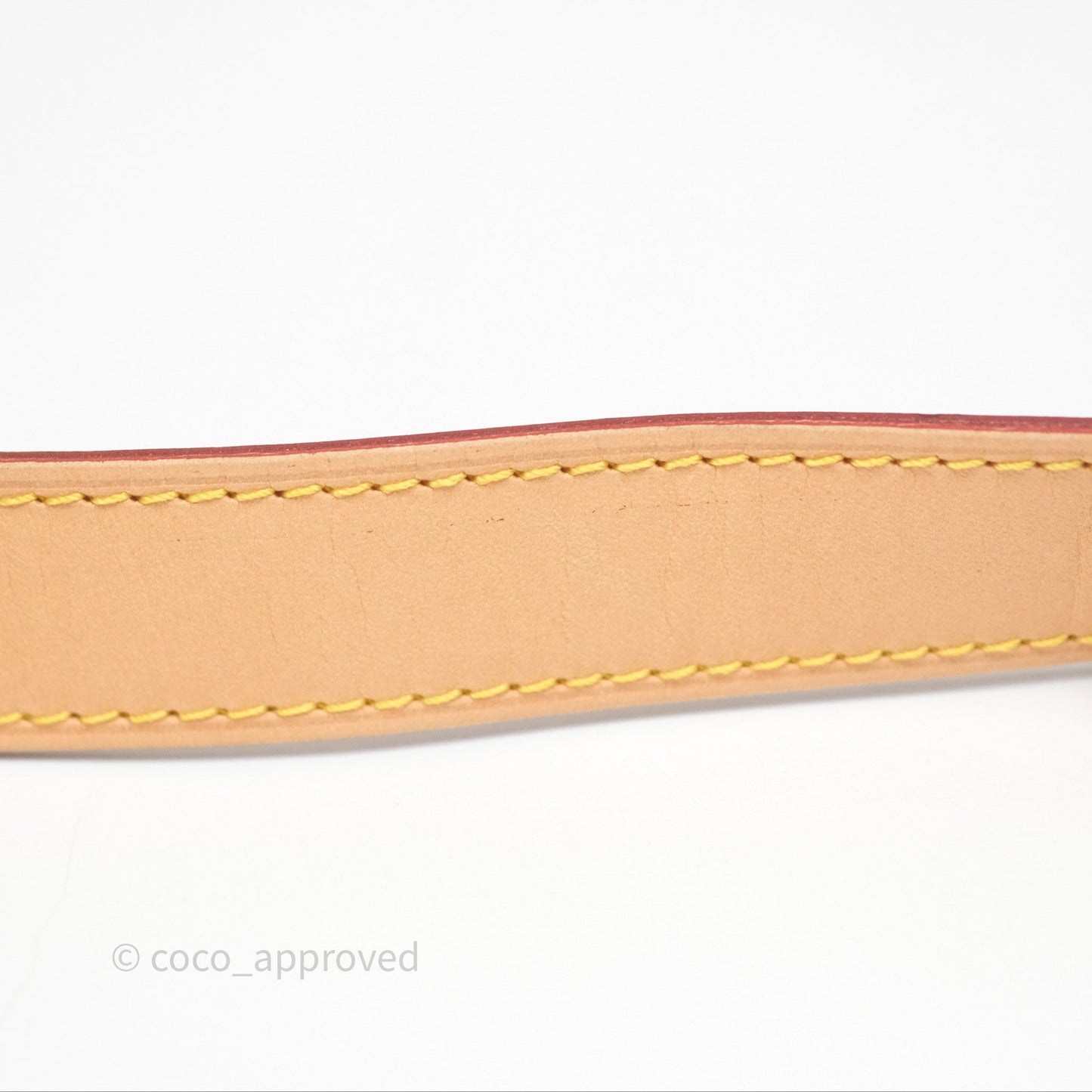 Louis Vuitton Bum Bag Monogram Canvas