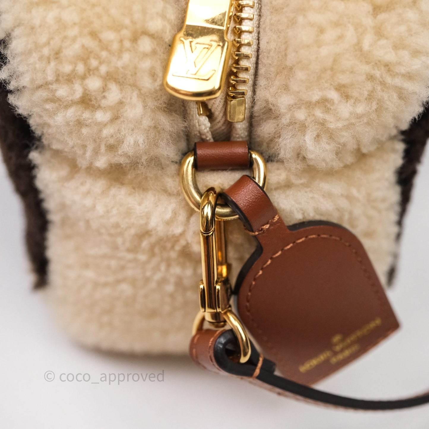 Louis Vuitton Teddy Beach Pouch Monogram