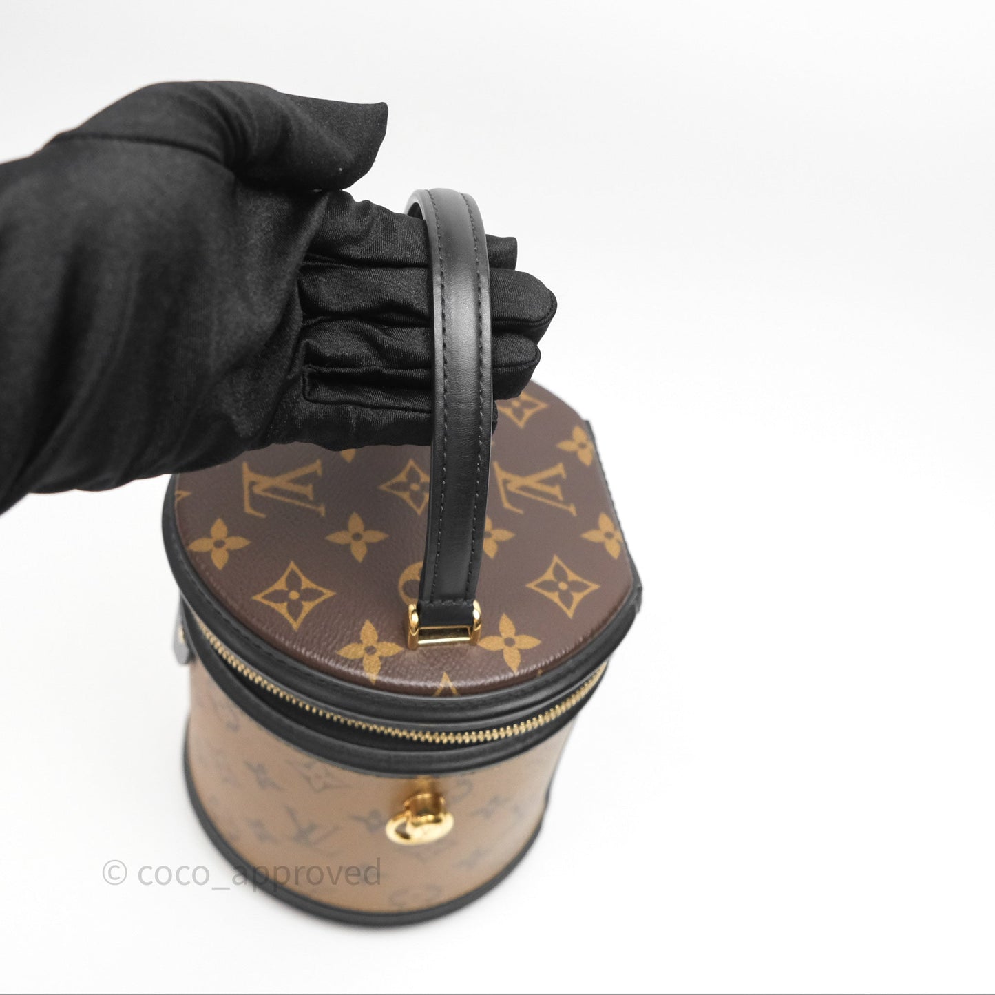 Louis Vuitton Monogram Canvas Reverse Cannes Bag