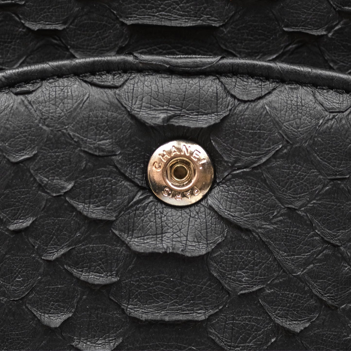 Chanel Maxi Double Flap Black Python Matte Black Hardware