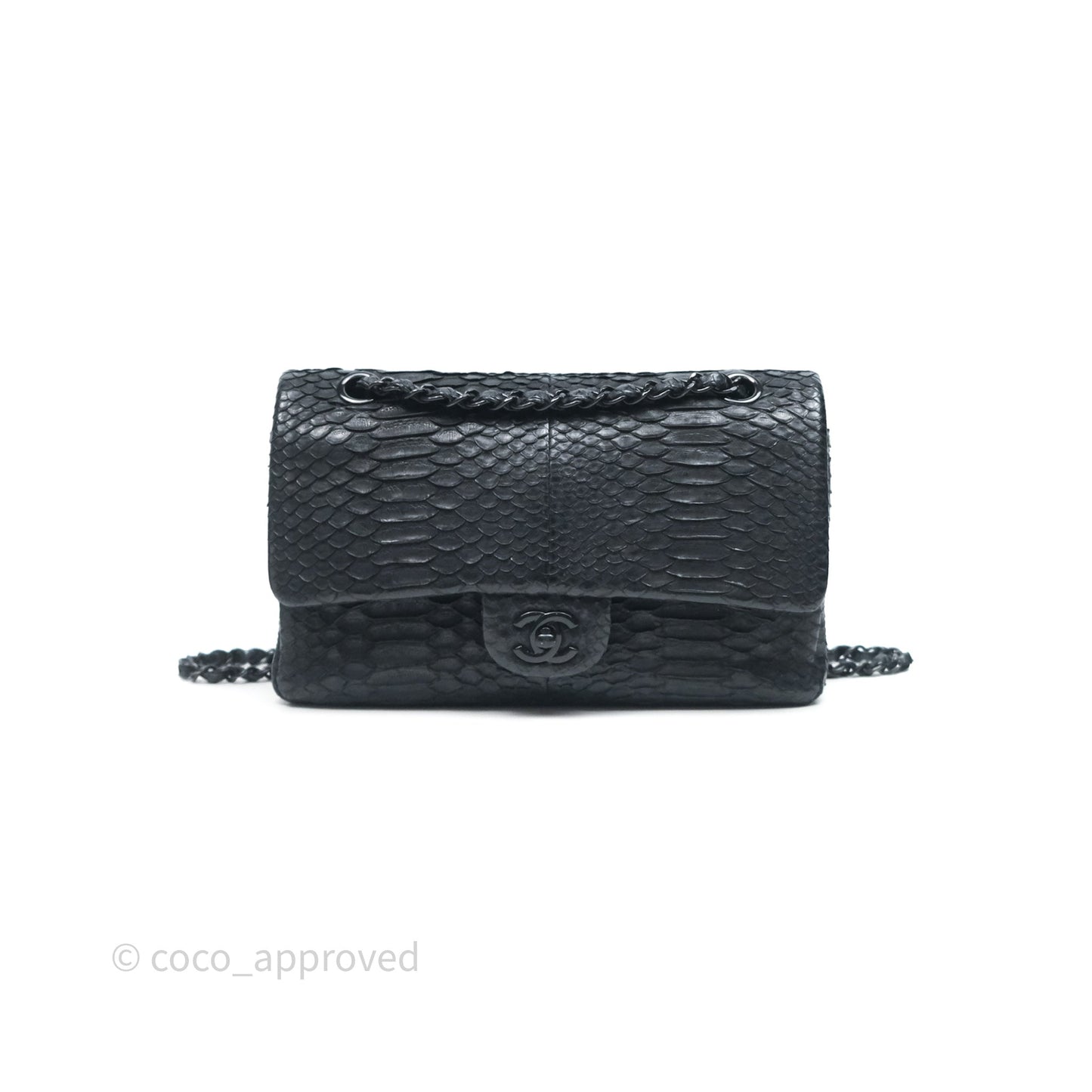 Chanel Classic M/L Medium Flap So Black Python Black Hardware