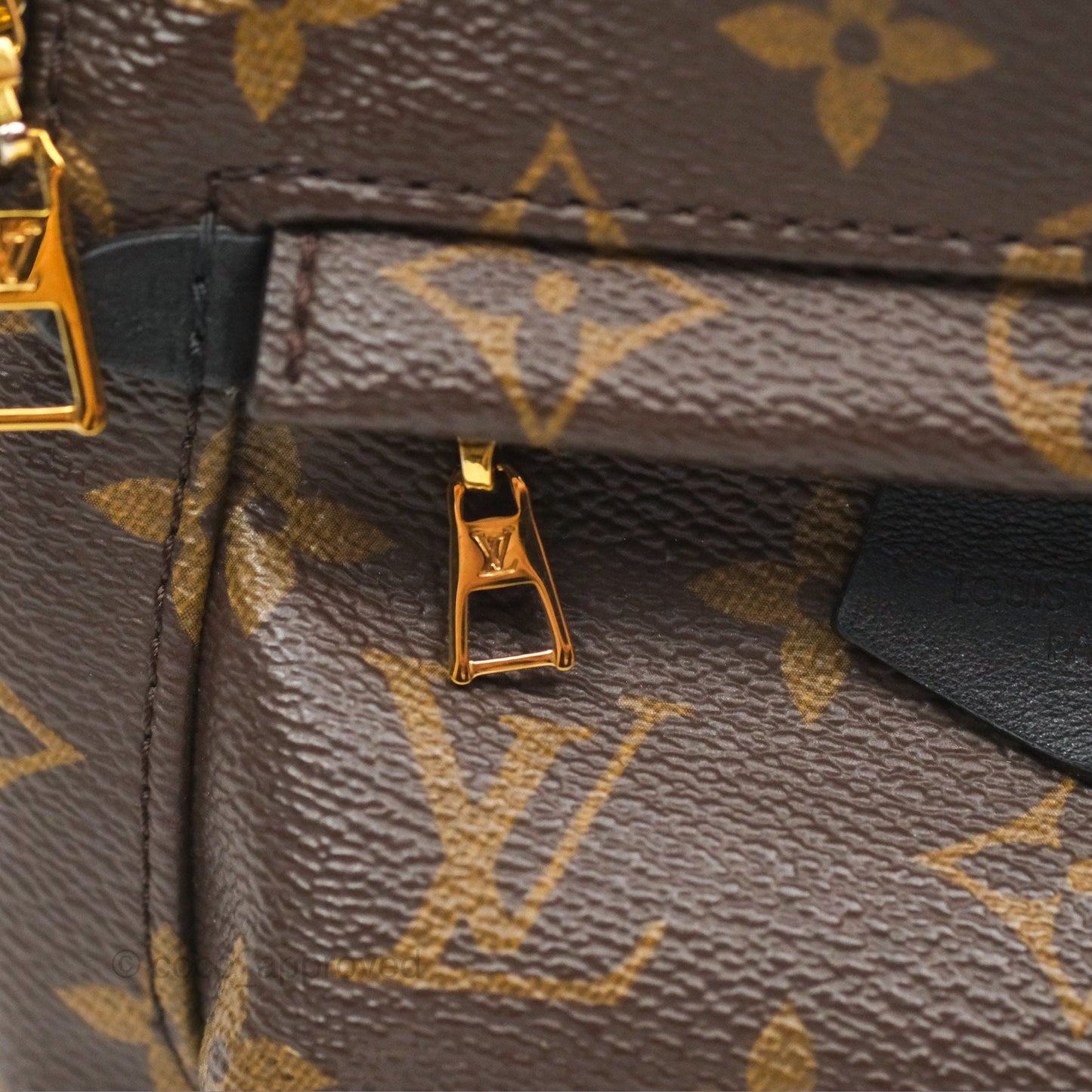 Louis Vuitton Mini Palm Springs Backpack⁣ Monogram