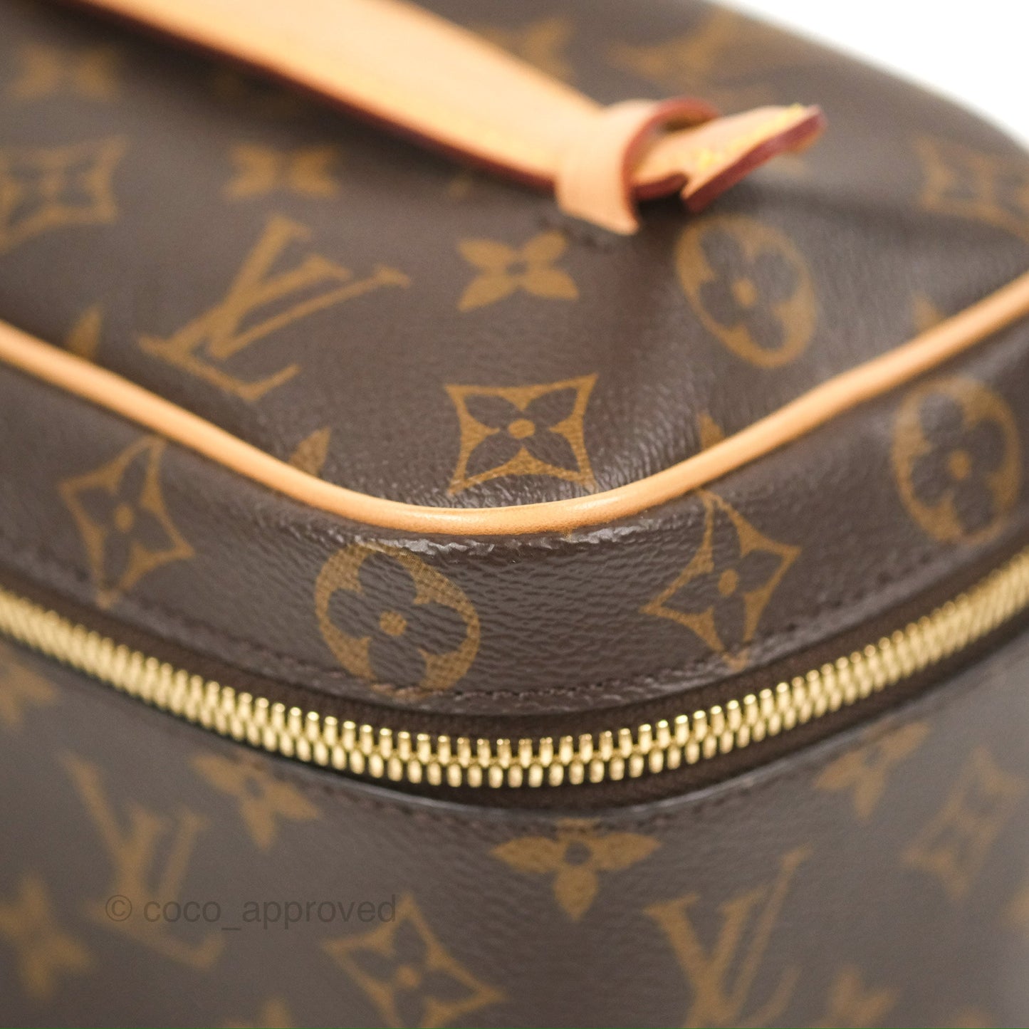 Louis Vuitton Nice Mini Monogram Canvas