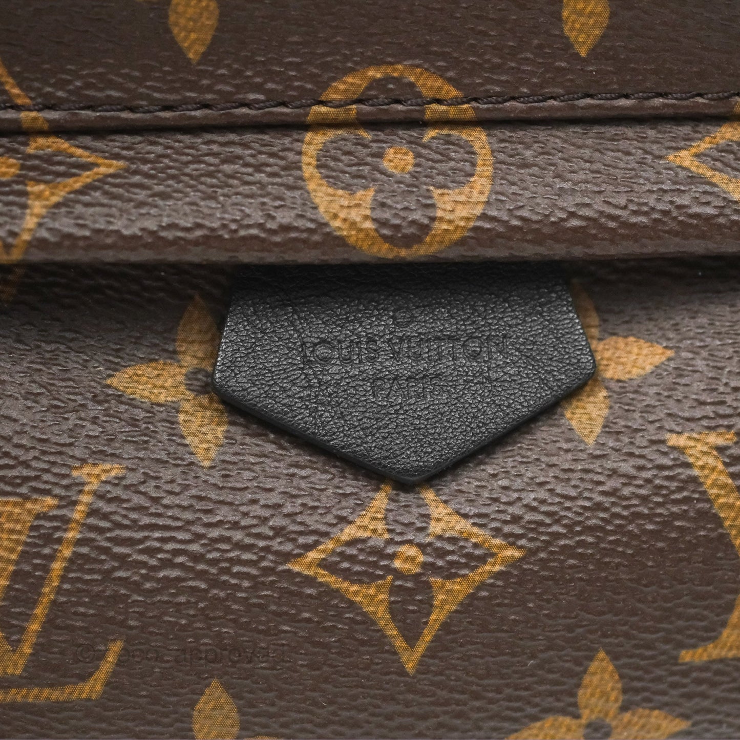 Louis Vuitton Mini Palm Springs Backpack⁣ Monogram Canvas