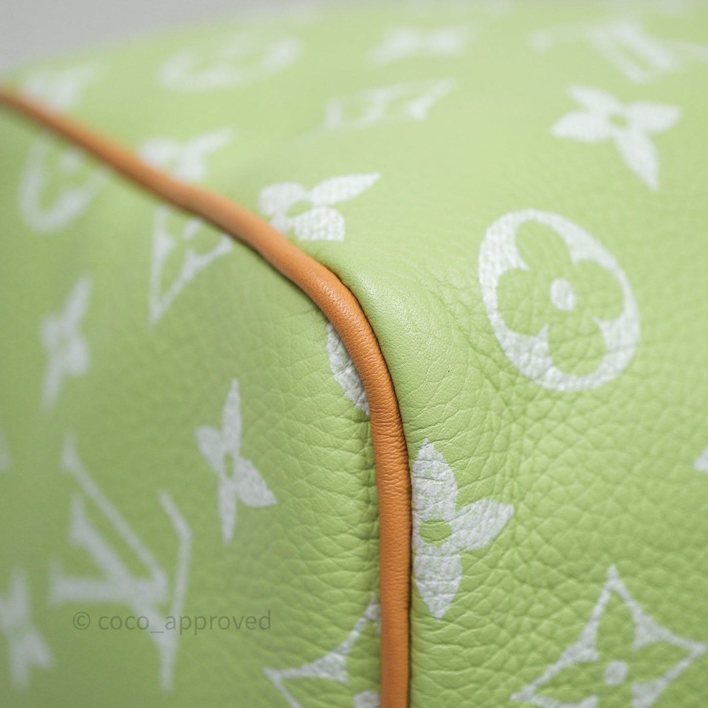 Louis Vuitton Speedy P9 Bandouliere 30 Vert Clair Bag